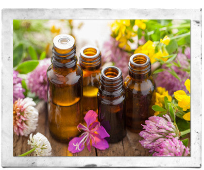 The Difference Between Fragrance Oils and Essential Oils