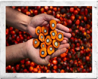 The Palm Oil Consumer Dilemma: Boycott or Buy?